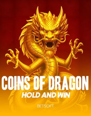 Coins of Dragon, Betsoft